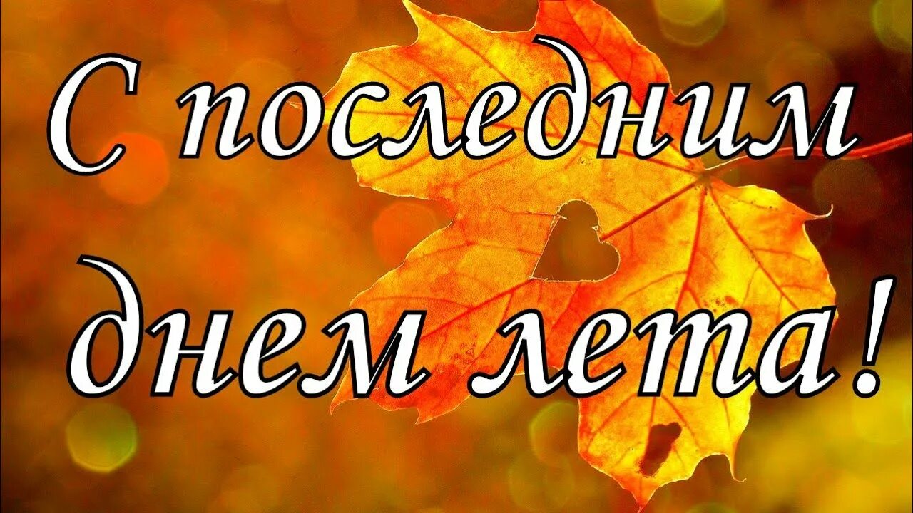 i?id=d3e158a014212d624a896bb6dfb2c56e_l-