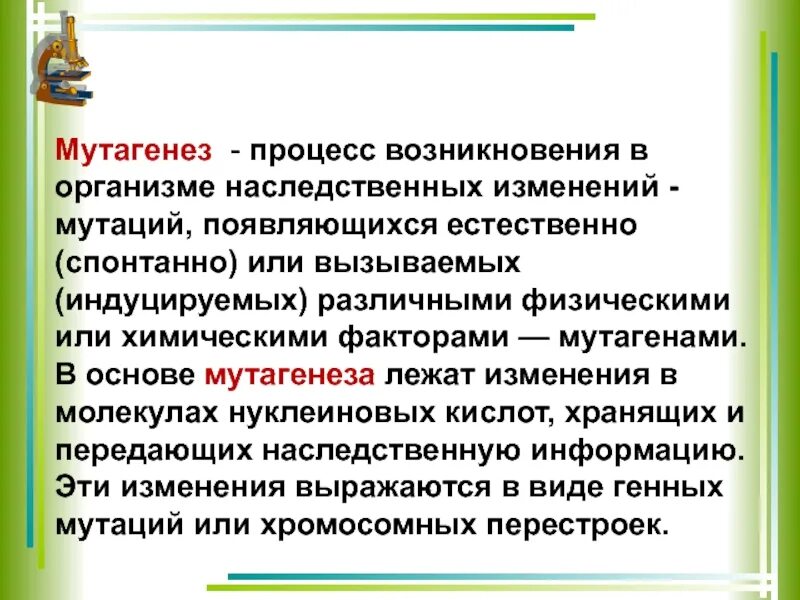 Возникающие в процессе