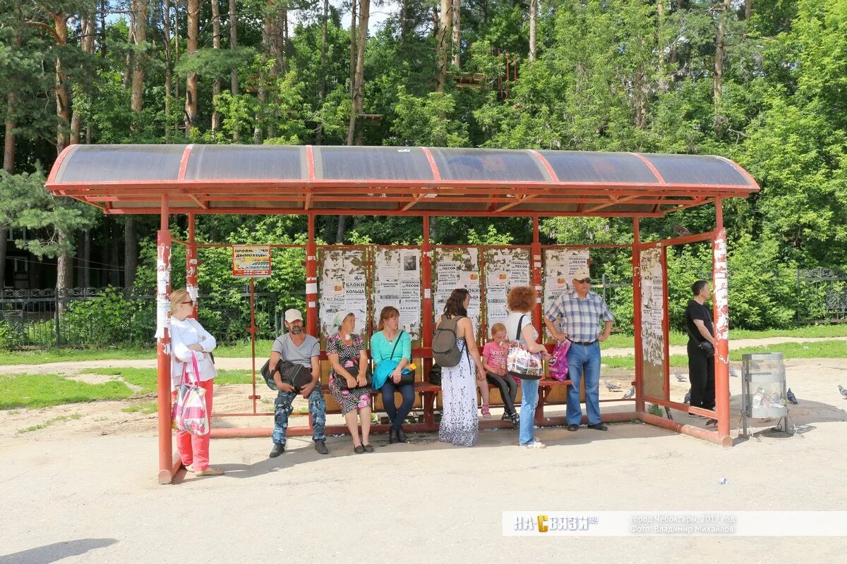 Роща чебоксары. Роща чебоксары