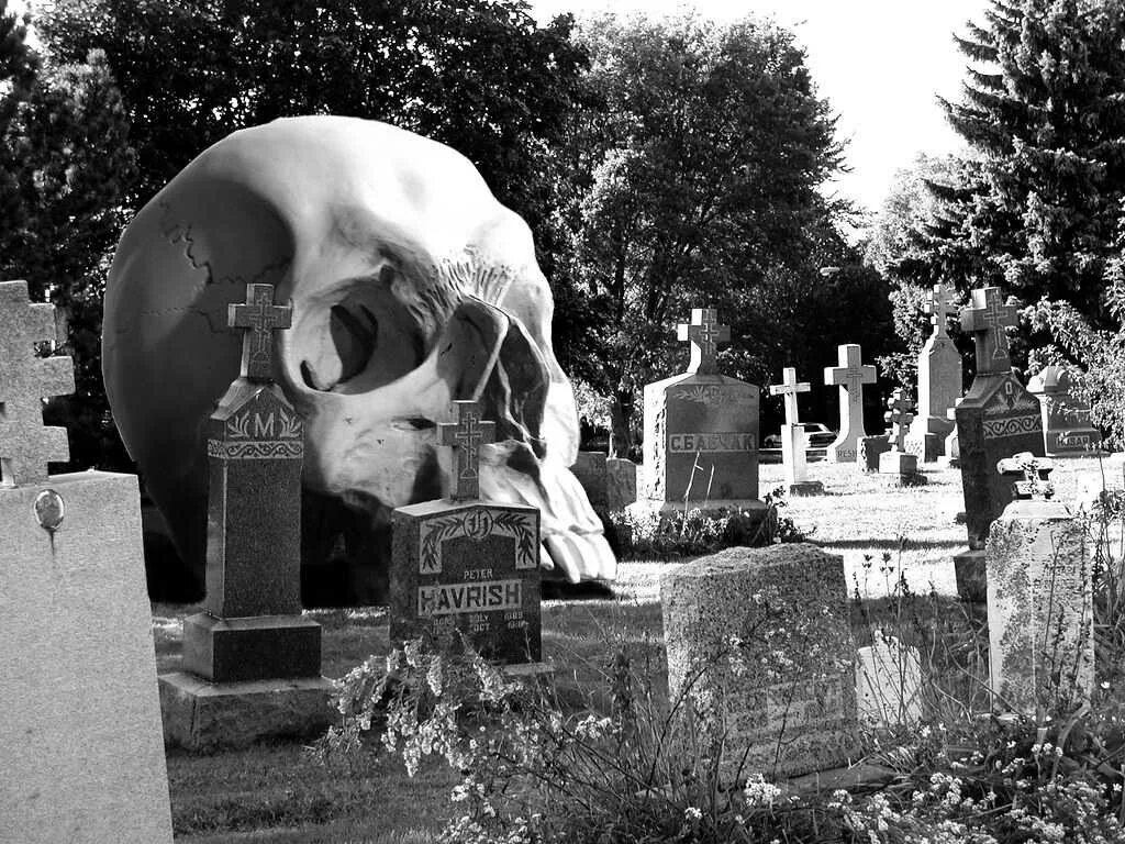 Кладбище во сне для женщины и могилы. Приснилось кладбище. Снится кладбище и могилы. Кладбище фотография сон.