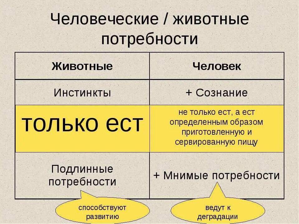 Человека от животного отличает инстинкт. Потребности животных. потребности животных и человека. какие потребности преобладают у животного и человека. биологические потребности животных и человека.