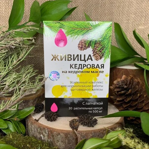 Купить "Живица кедровая на кедровом масле" с каменным маслом (белым мумиё). При 