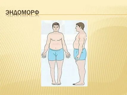 Эндоморфы это