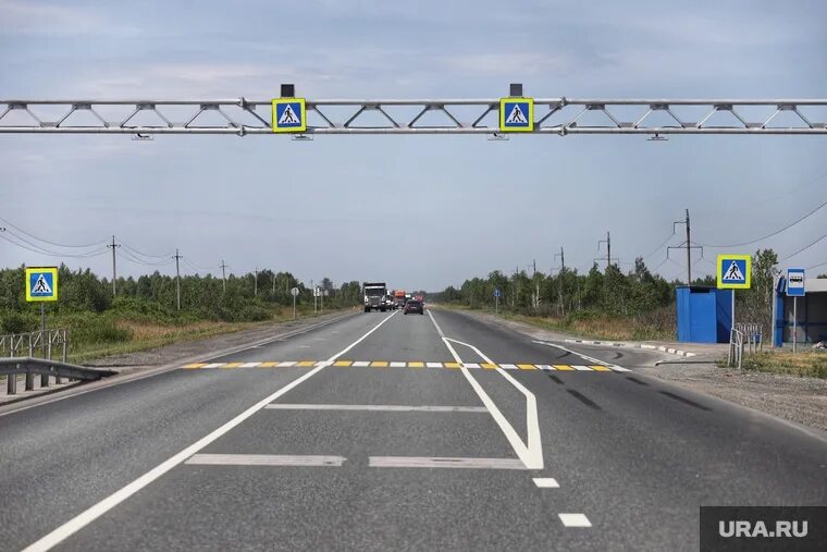 Трасса курган тюмень сегодня закрыта или нет. Трасса р402. дорога р-254. дорога тюмень курган. курганскую трассу.