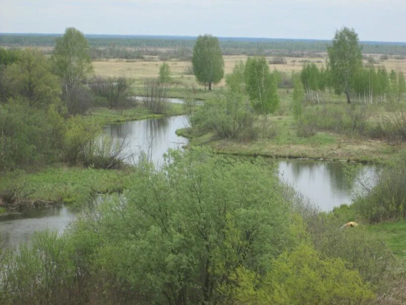 Красный яр кемерово. Красный Яр Колыванский район Новосибирская область. Деревня красный Яр Новосибирская область Колыванский район. Красный Яр Кировская область. Поселок красный Яр Кировская область.