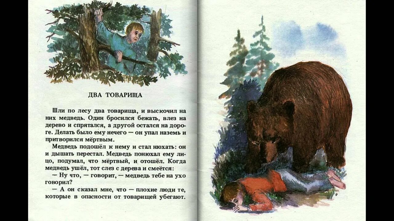 Медведь и два товарища. Басня льва николаевича толстого два товарища. лев николаевич толстой рассказы два товарища. сказка толстого 2 товарища. два товарища рассказ л.н.толстого.