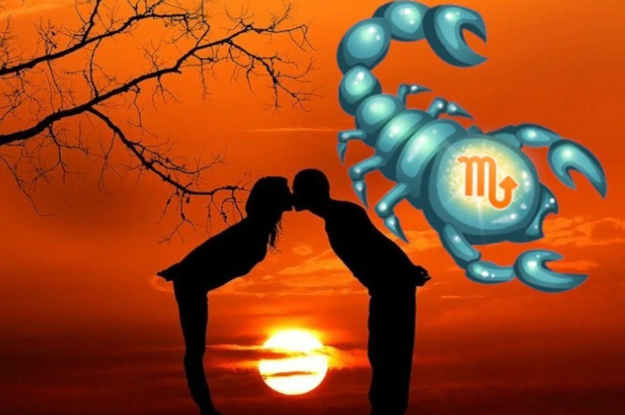 Скорпион мужчина и рак женщина в любви. Знак зодиака Скорпион. Скорпион Зодиак. Скорпион знак зодиака любовь. Скорпионы Скорпионы.