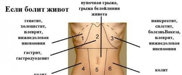 Болит справа от пупка. Болит живот вокруг пупка. Болит около пупка и тянущая.