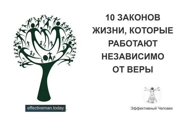 Современные законы жизни. Закон жизни. Закономерности жизни. Законы жизни человека которые работают. 10 Законов жизни.