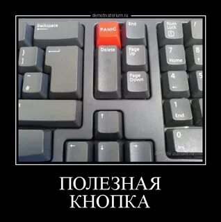 Внизу похожие