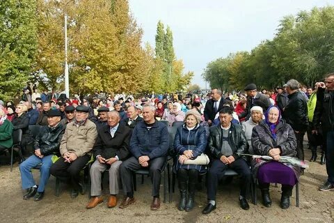 Погода в александрово гае саратовская область