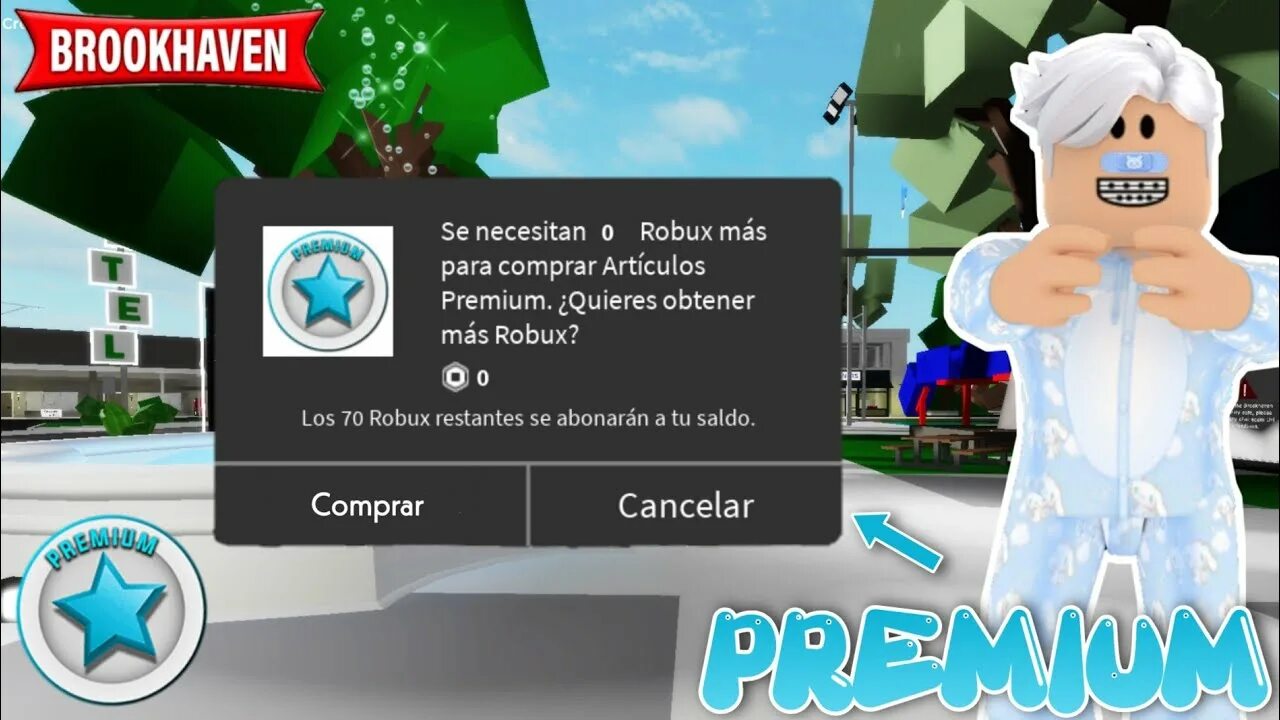 Чит на брукхейвен в роблокс. Roblox Брукхейвен. Премиум в Брукхейвен. Премиум в Brookhaven. Premium РОБЛОКС.