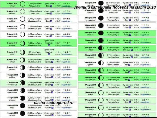 Календарь обрезки деревьев. Лунный календарь обрезки деревьев март 2024. Обрезка деревьев по лунному календарю. Календарь обрезки комнатной розы. Календарь обрезки плодовых деревьев 2021.