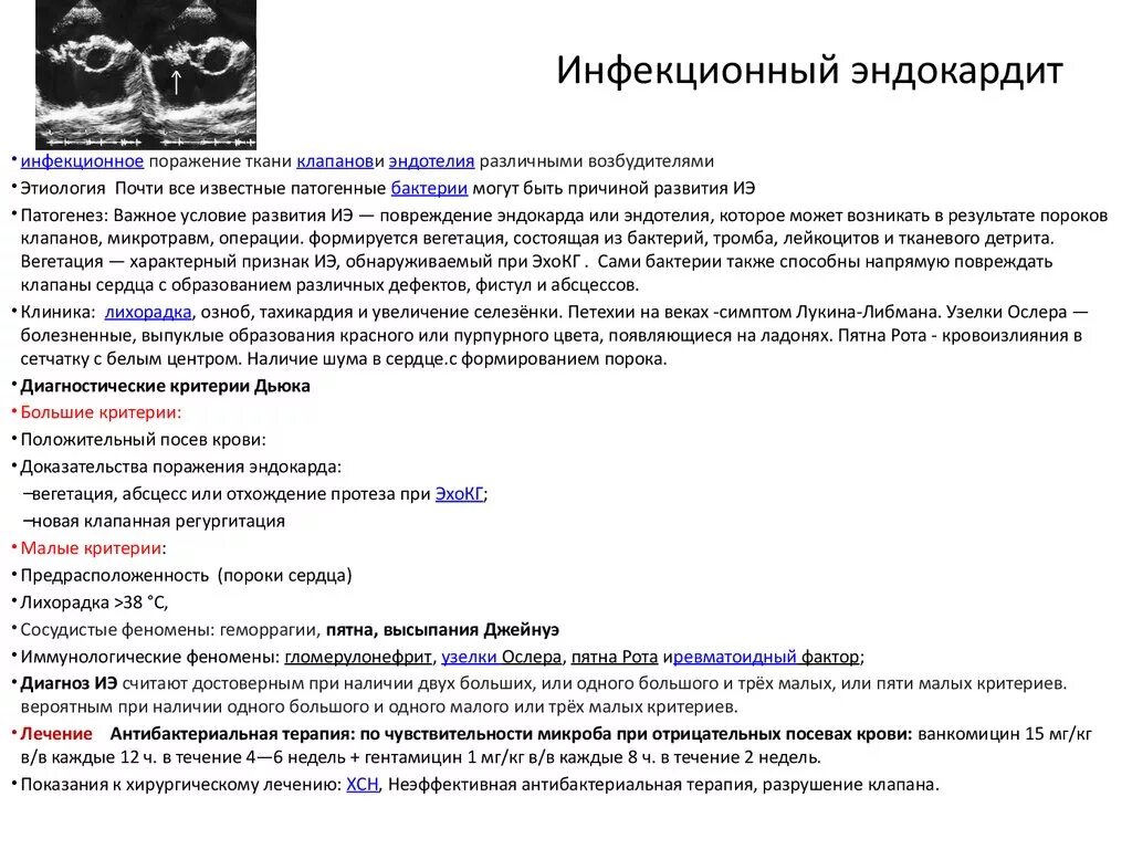 Эндокардит симптомы. Эндокардит симптомы