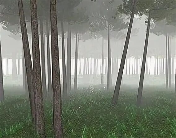 Blender 3d model Forest. Форест лес 3д. Лес 3д модель. 3д модель леса. Лес 3 действия