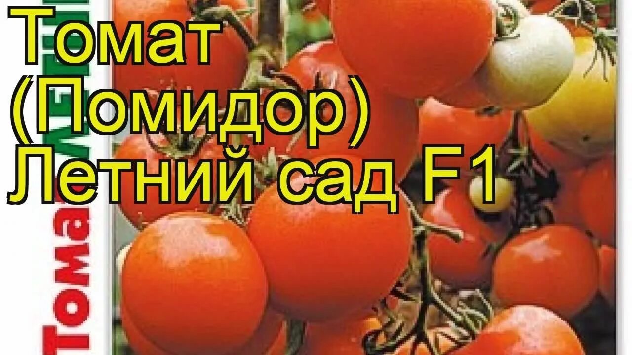 Томат Летний Сад F1, 0,03гр 2 упаковки - купить в интернет-магазине по низкой це