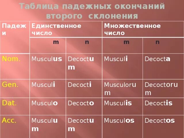 Латинские окончания слов. 1 Склонение латынь. Окончания множественного числа в латинском языке. Единственное и множественное число в латинском языке. Склонение существительных в единственном и множественном числе.