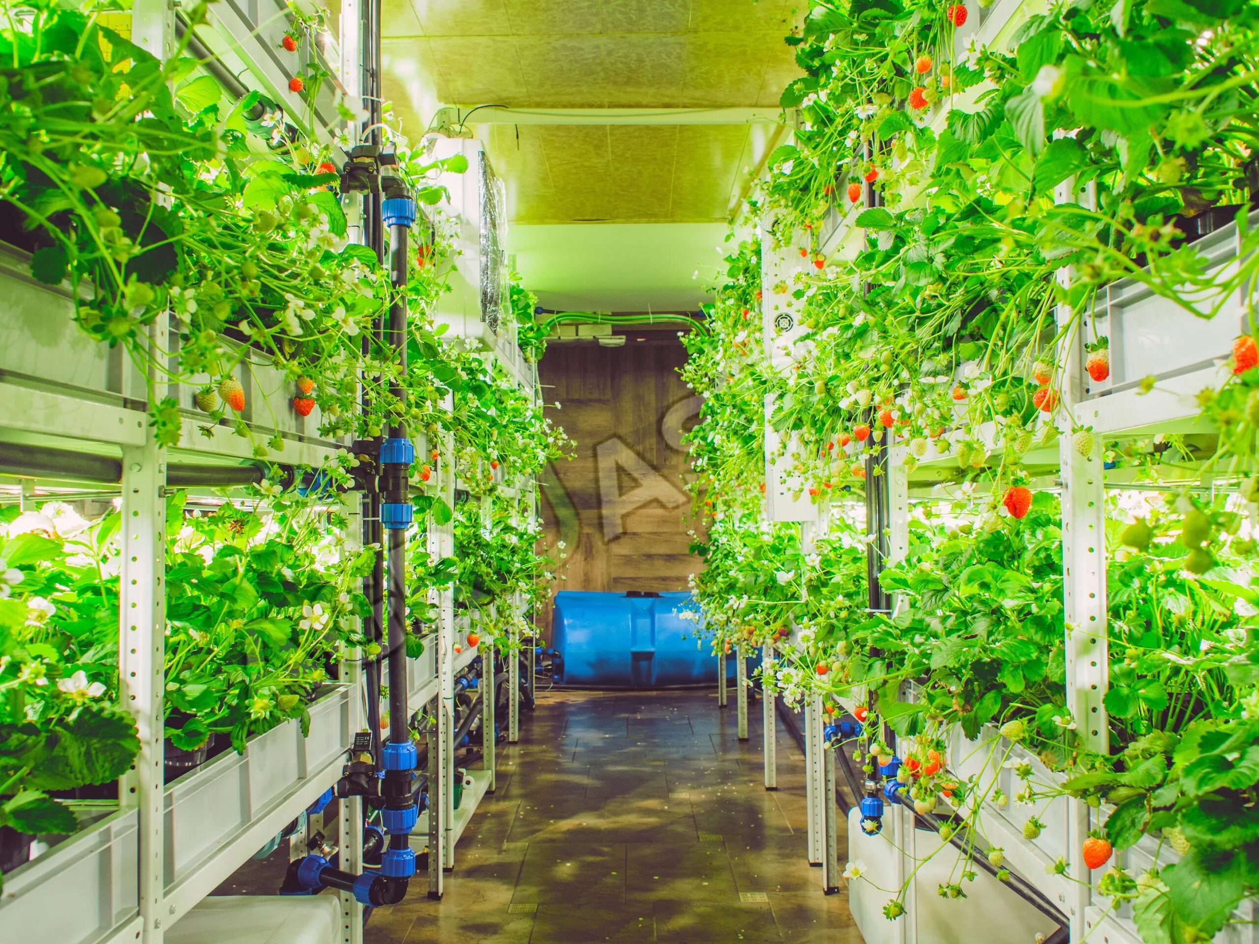 Агроаспект. Агроаспект групп лого. Сити фермер 2022. Агроаспект екатеринбург. Агроаспект екатеринбург.