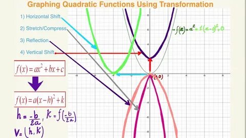 Function life