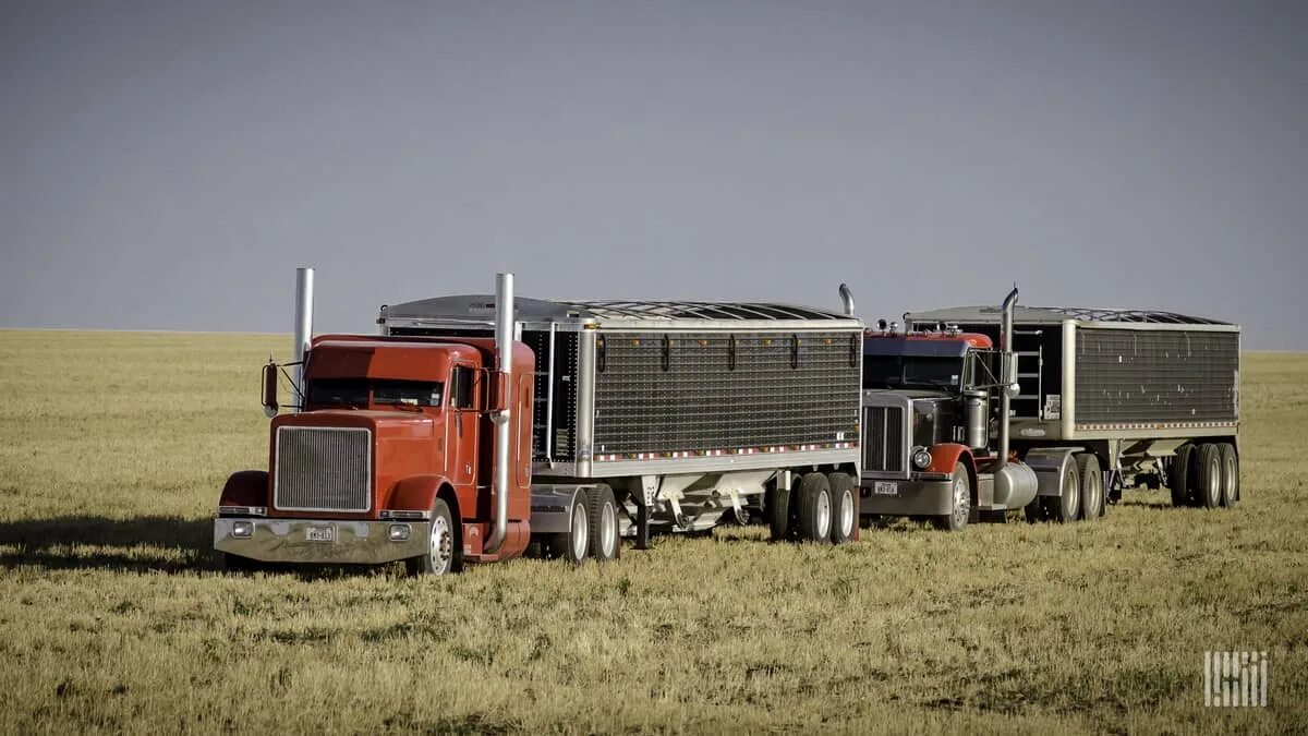 Ag trucking. Ag trucking. Indigo сельское хозяйство. Фредлайнер каскадия 2022. Ag trucking.