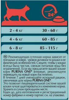 Через сколько кормить кошку