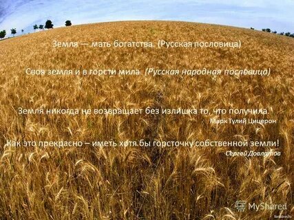 Матерь богатства