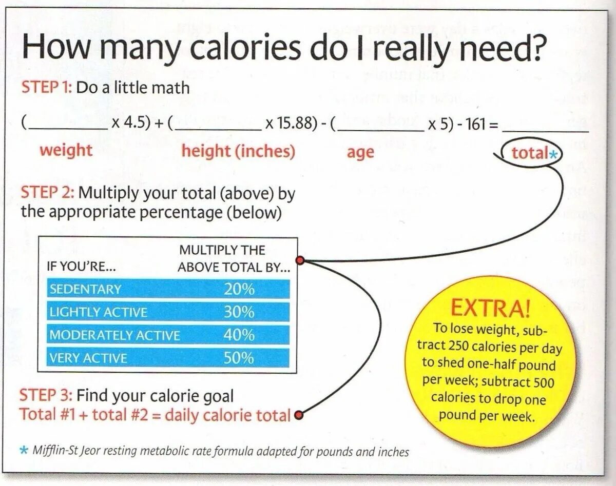 How many days per semester are. How many calories. calories per day. you need to calories. how many calories are.