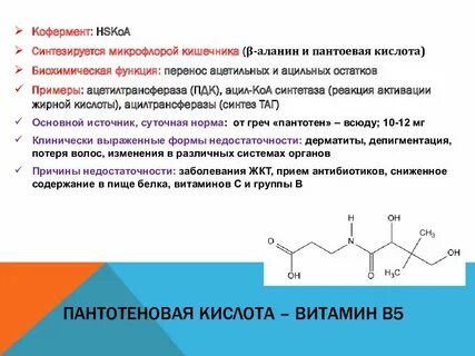 Витамин в5 роль