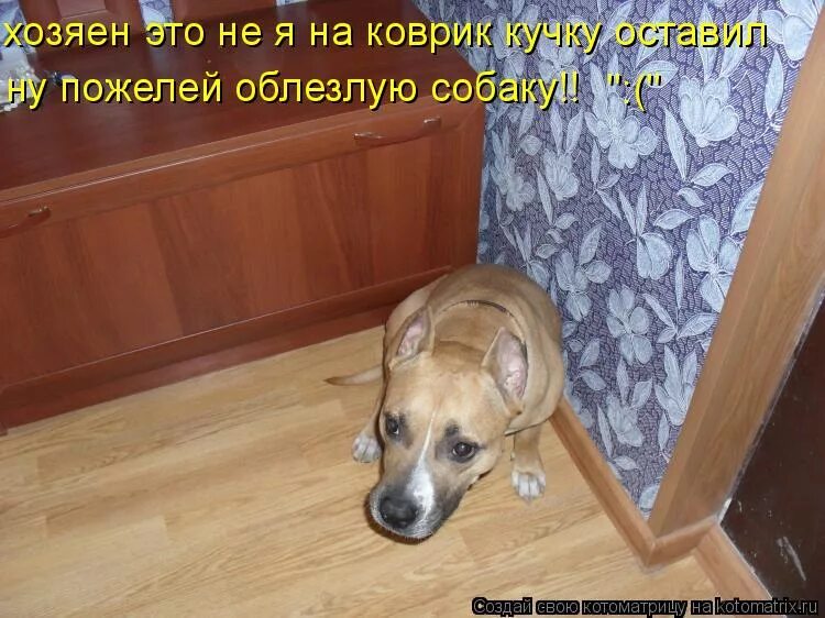 Не возвращено хозяину