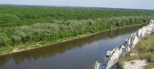 Воронцовка Воронежская область. Павловское Городище Воронежская область.