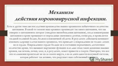 Информация о новой короновирусной инфекции