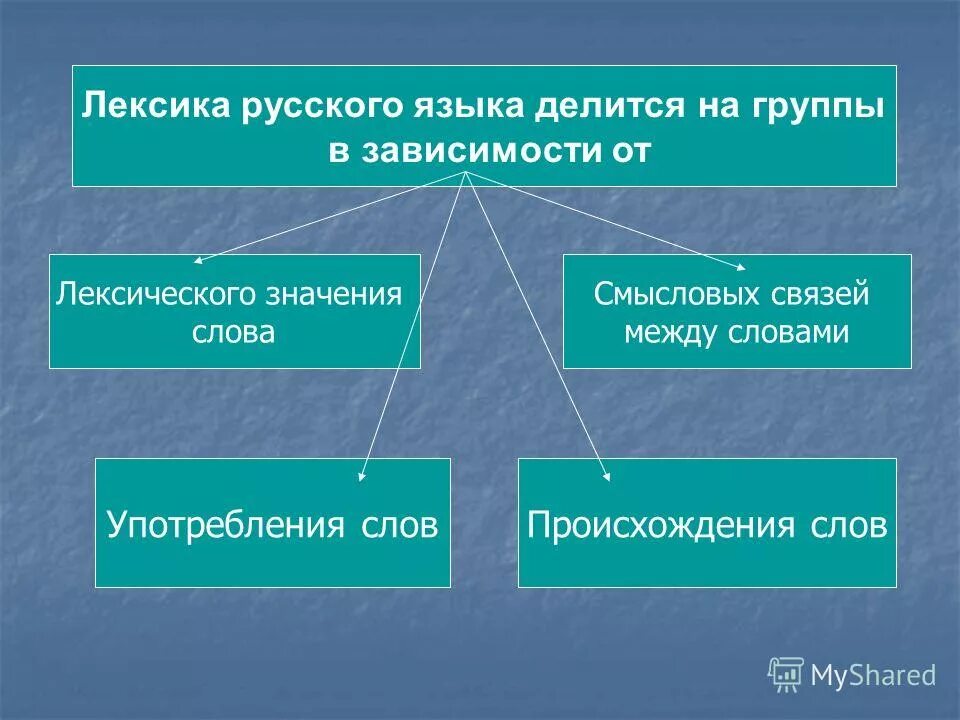 Лексика. Лексика разделяется на. На что делится лексика в русском языке. Лексикология делится на. Группы слов по употреблению