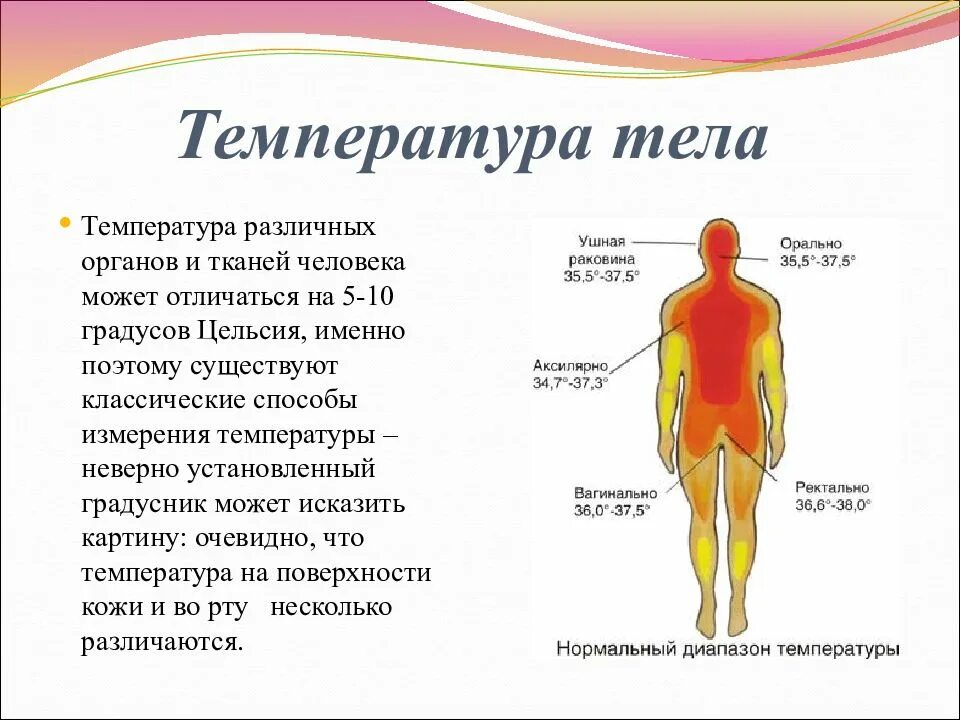 Естественная температура человека. Температура человека. Температура у человека картинки для презентации. Какая самая большая температура у человека. Признаки температуры у человека.