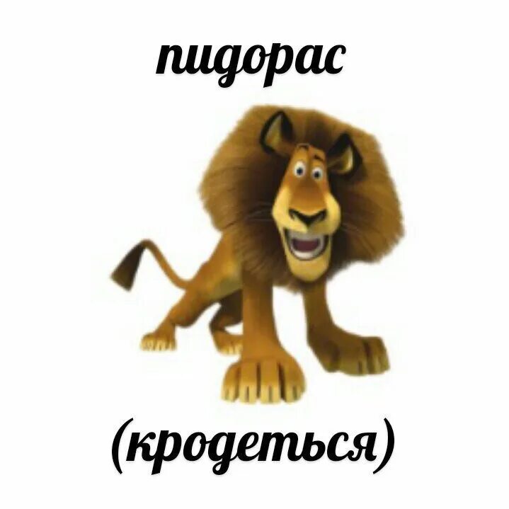 Мадагаскар алекс и марти зоопарк. Мем лев я. Мем лев я. Лев алекс. Мадагаскар лев.