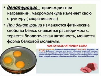 При ее разрушении наступает необратимая денатурация