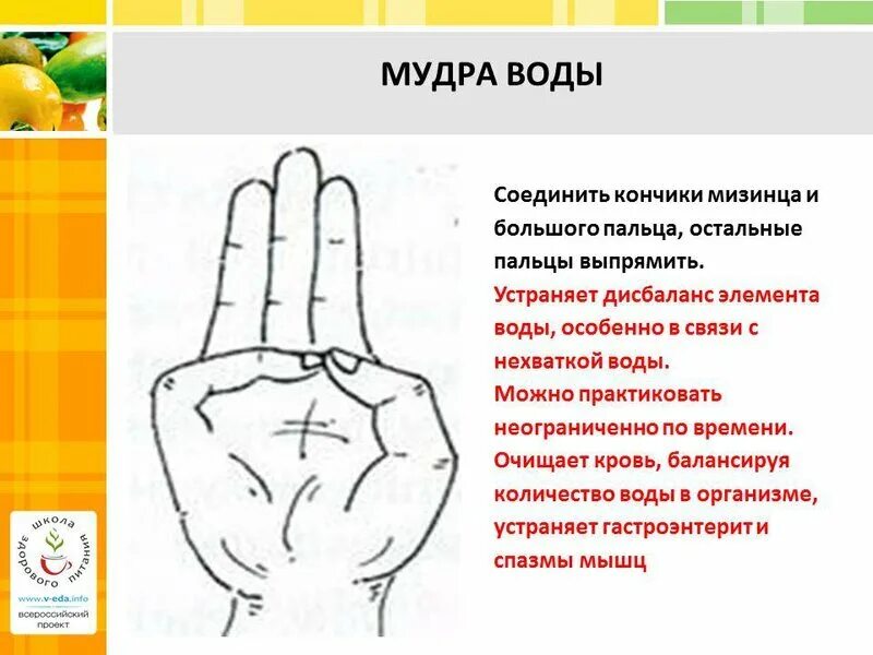 Притхви мудра. Сурья мудра. Мудра переговоров. Притхви мудра. 2 мудра земли.