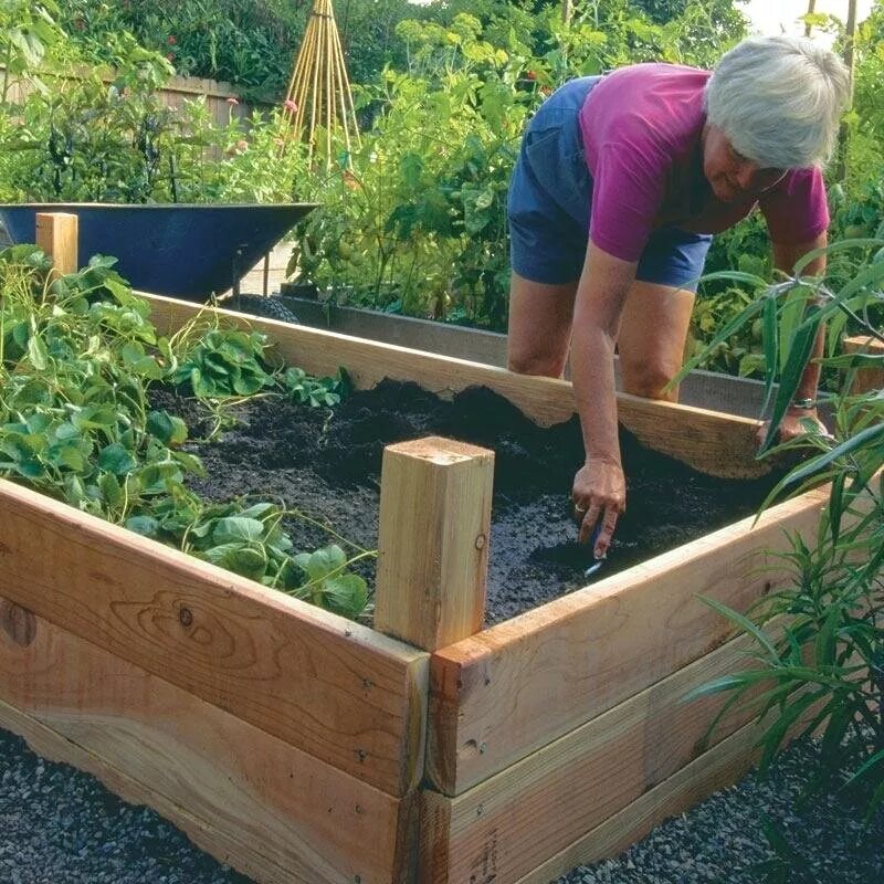 Высокая грядка Graf Ergo raised Bed 6 панелей. Высокие грядки. Красивые деревянные грядки. Деревянные короба для грядок. Грядки из досок своими руками фото