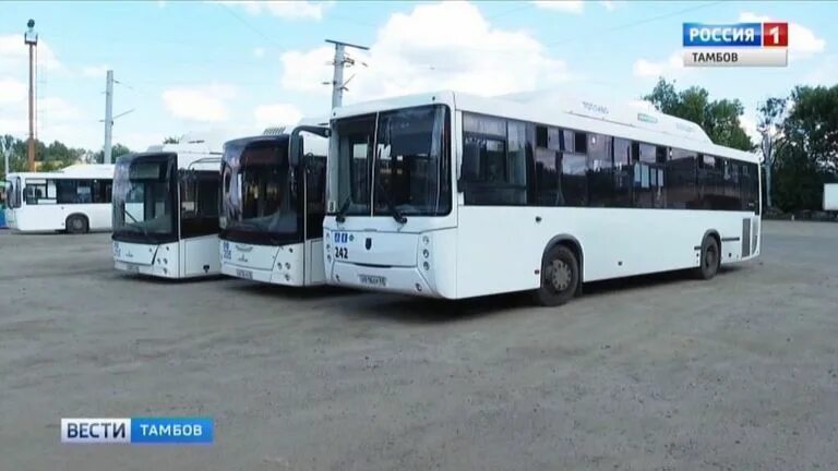 Тамбов автобус 3. Автобусы тамбов. новые автобусы в тамбове. автобус 15 воронеж. автобусы тамбова газ.