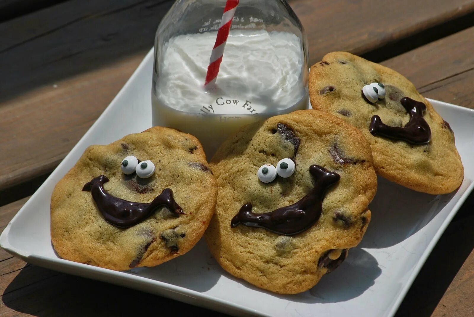 Милое печенье. Забавные печенья. Печенье в виде зверей. Забавные печенья. Прикольное печенье.