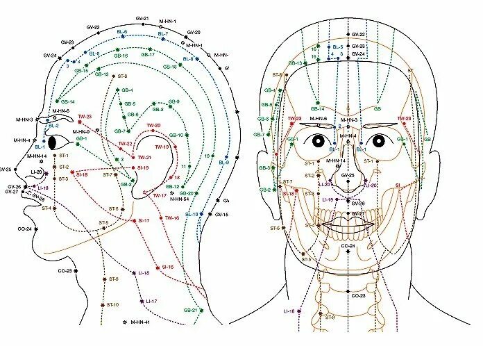 Меридианы человека китайская. Акупунктура меридианы тела человека схема. Схема 12 меридианов акупунктуры. Меридианы человека схема и направления китайская медицина. Акупунктуры точки акупунктуры на теле человека.