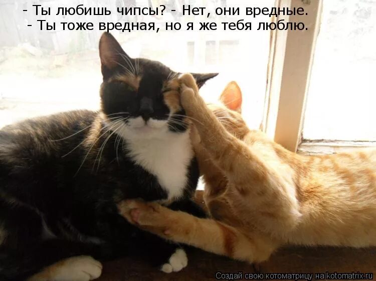 Я рад за вас. Ты красотка. Ну расскажи. Я тоже очень скучаю по тебе. Какая красотка картинки.