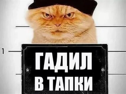 Аудиокнига пипец котенку 1