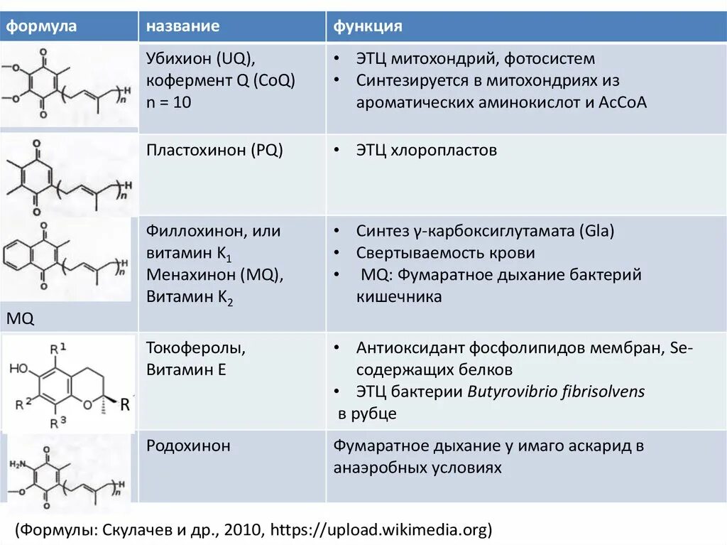 Ферменты коферменты витамины. Коферменты ферментов биохимия. Формулы витаминов и их коферментов. Витамин p биохимия коферменты. Формулы коферментов биохимия.