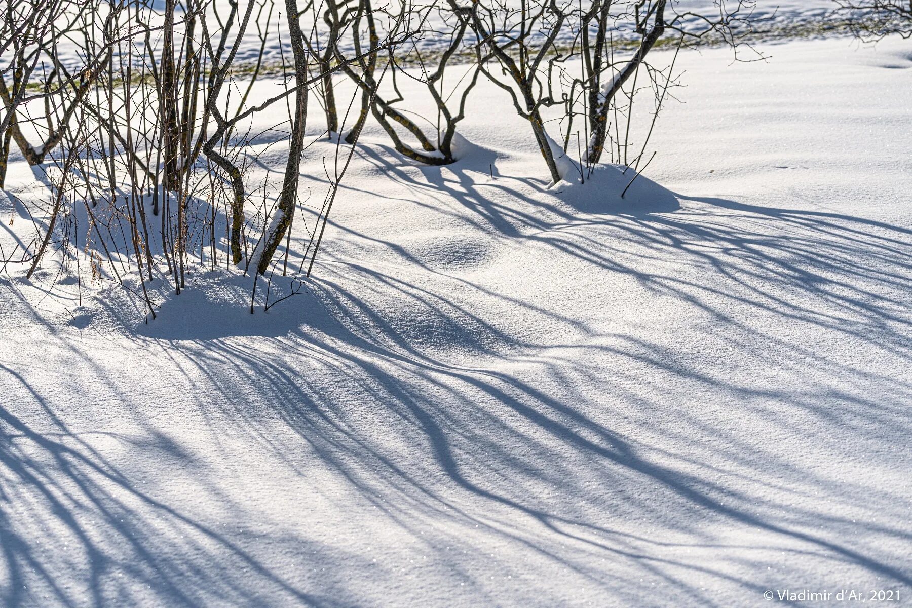 Winter shadows