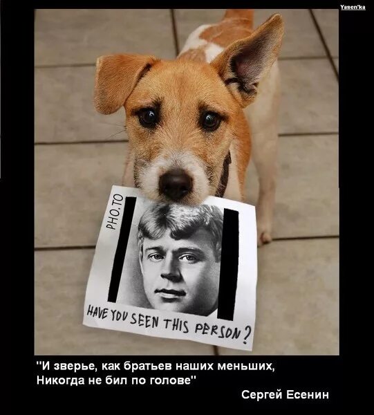 Братьев наших меньших никогда. Юмор про братьев наших меньших. Братьев наших меньших никогда. Девиз урока биологии. Счастлив тем что целовал я женщин мял цветы валялся на траве.