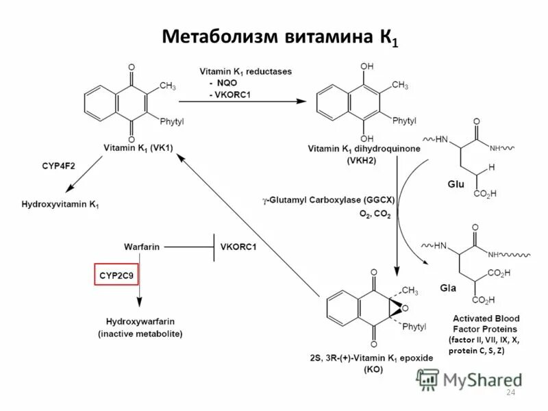 С днк матери. Днк 4. Ток шоу днк. 10 24. Днк 25 октября.