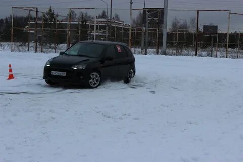 Калина 2 зимой