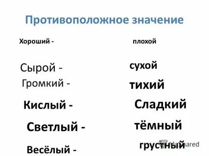 Слово антипод