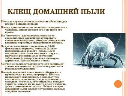 Медицинское значение клещей
