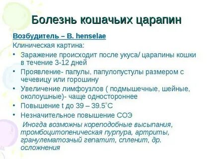 Лечение кошачьей болезни
